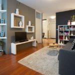 Living room with double sofa bed, armchair and shelf with books and decoration.