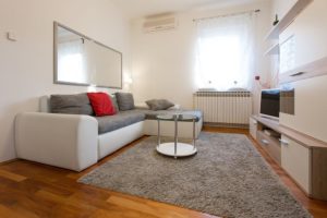 Living room with the double sofa bed and the TV