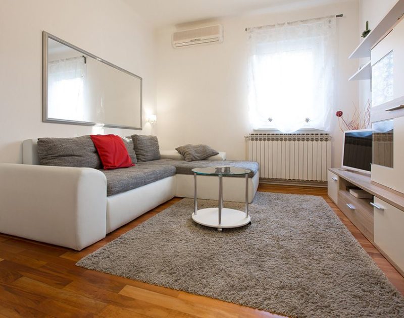 Living room with the double sofa bed and the TV