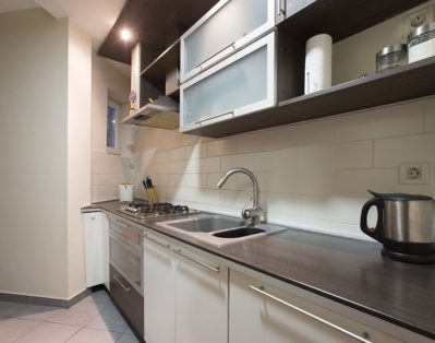 Fully equipped kitchen with big fridge, microwave dishwasher and oven