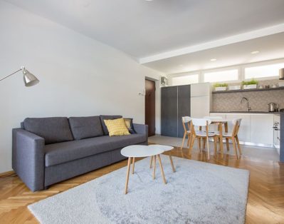 Living room with kitchen and dining area. Sofa can be pulled out in double bed.