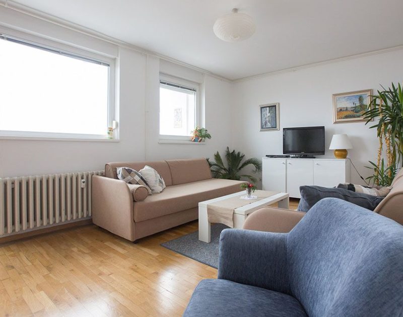 Living room with two sofa beds